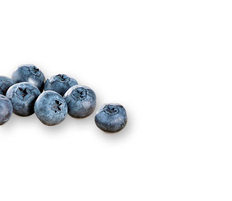 Blueberries left